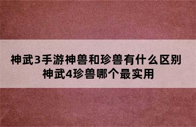 神武3手游神兽和珍兽有什么区别 神武4珍兽哪个最实用